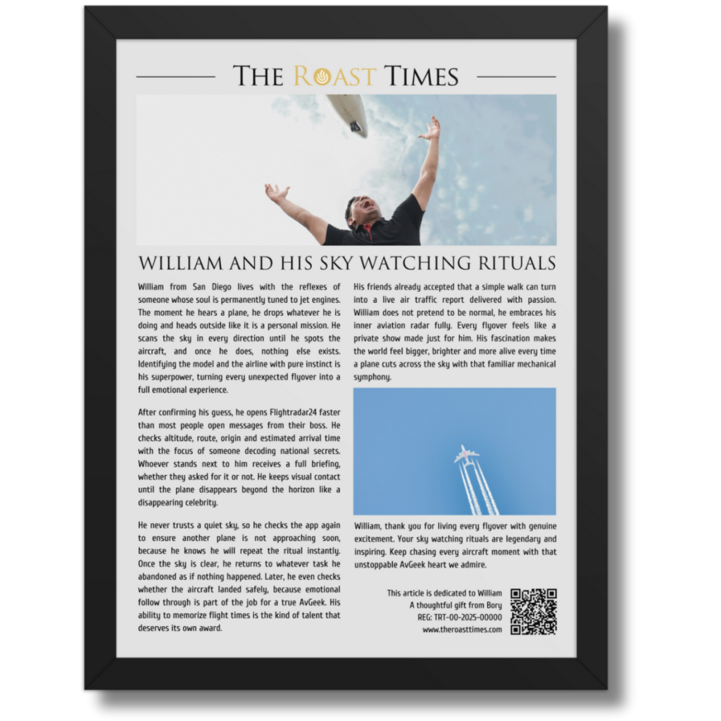 Gift for a Airplane Lover, a personalized framed article