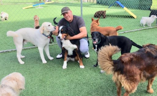 w-m-happy-dogs-and-the-art-of-raising-pups-like-kids